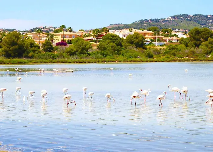 Costablancadreams Maroen En *