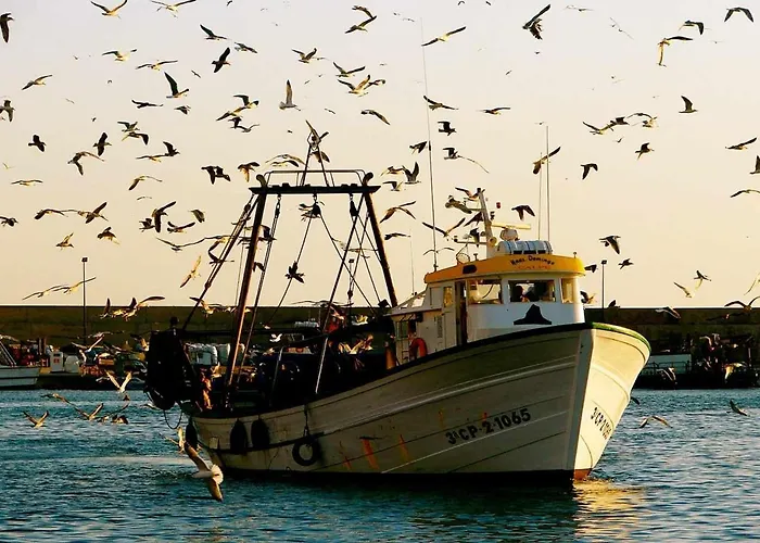 公寓 Costablancadreams Maroen En