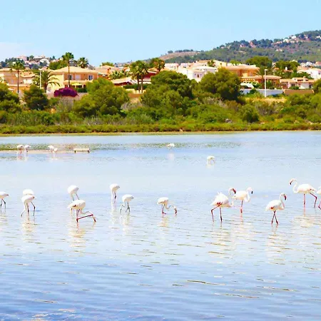 Costablancadreams Maroen En *